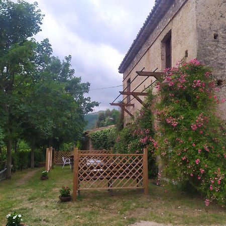Agriturismo Colloreto Morano Calabro Ngoại thất bức ảnh