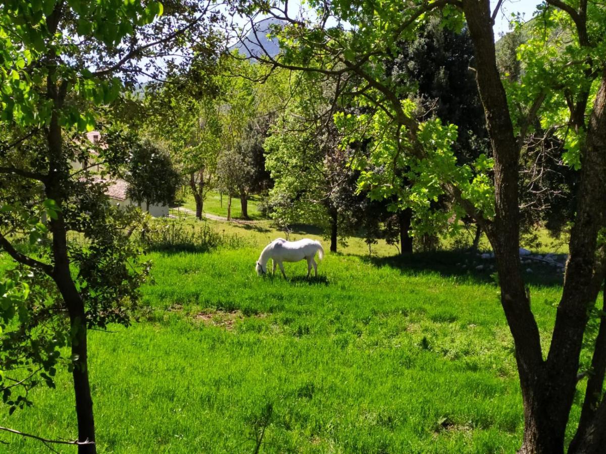 Agriturismo Colloreto Morano Calabro Ngoại thất bức ảnh