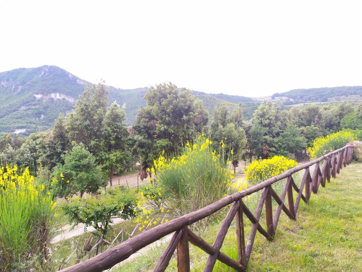 Agriturismo Colloreto Morano Calabro Ngoại thất bức ảnh