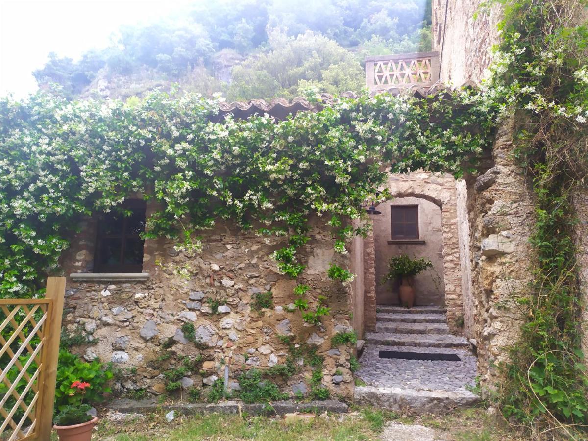 Agriturismo Colloreto Morano Calabro Ngoại thất bức ảnh