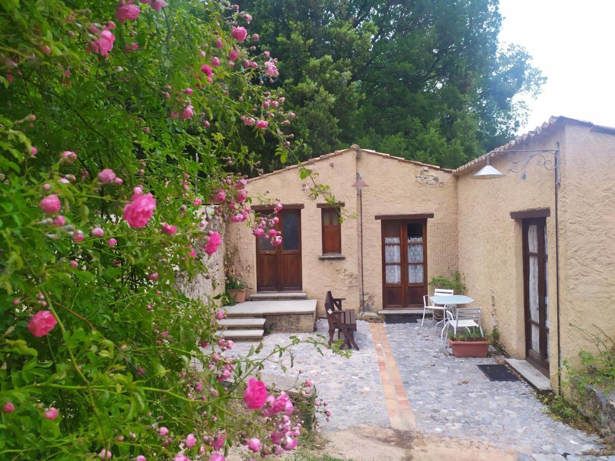 Agriturismo Colloreto Morano Calabro Ngoại thất bức ảnh