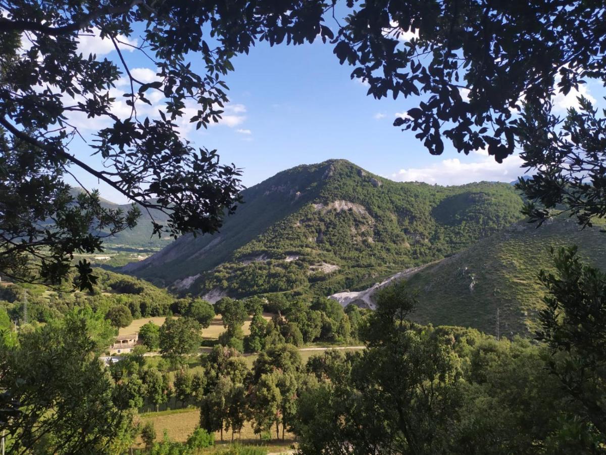 Agriturismo Colloreto Morano Calabro Ngoại thất bức ảnh